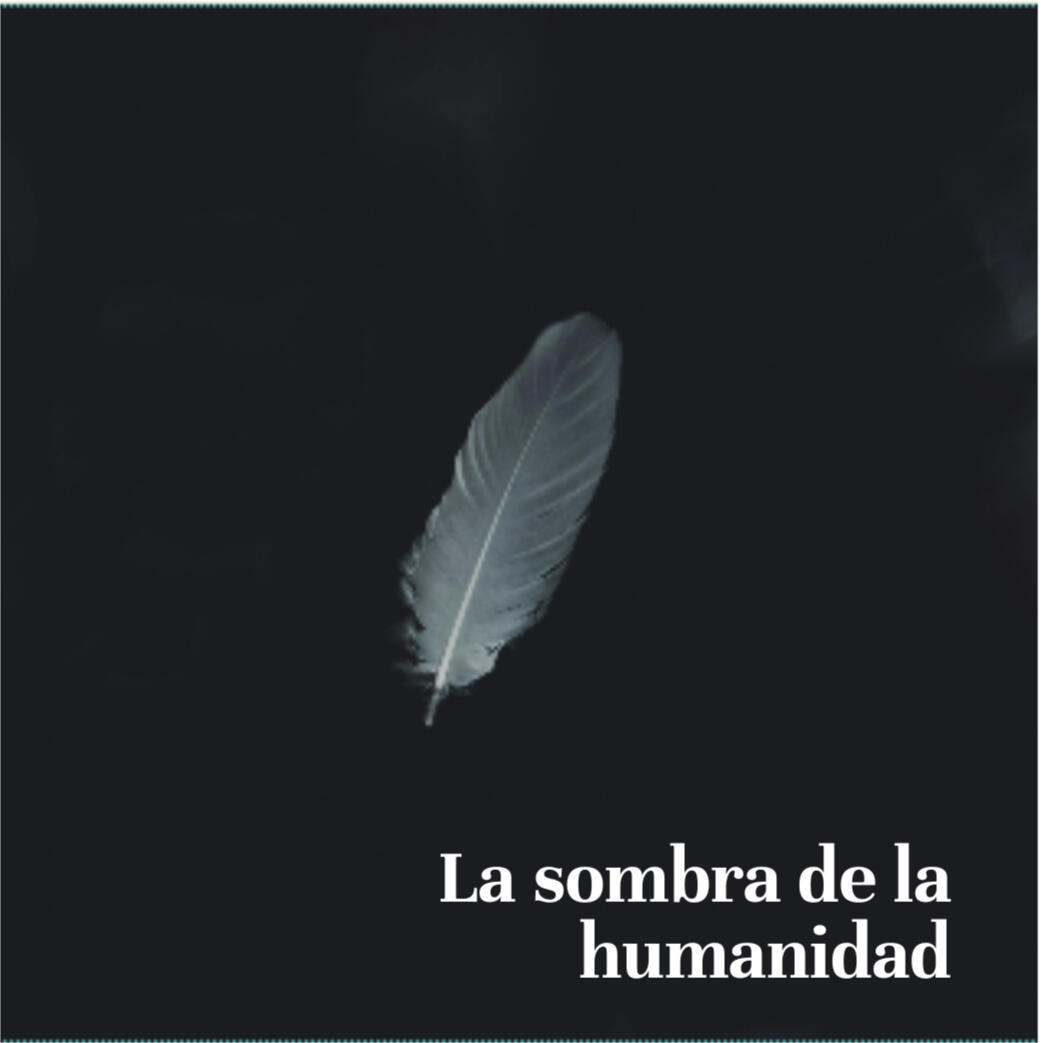 Lo revolucionario de setir