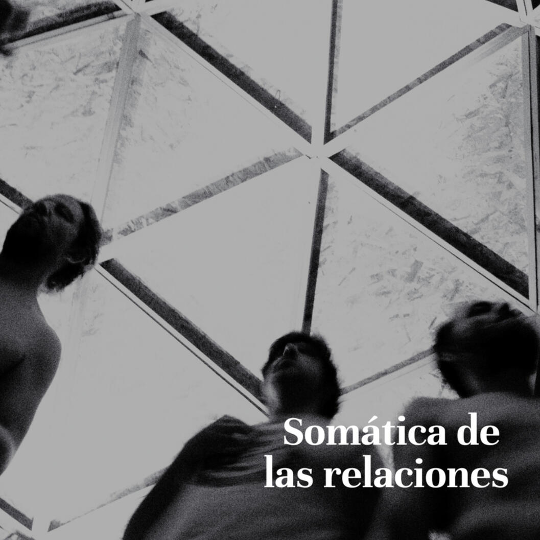 Somática de las relaciones